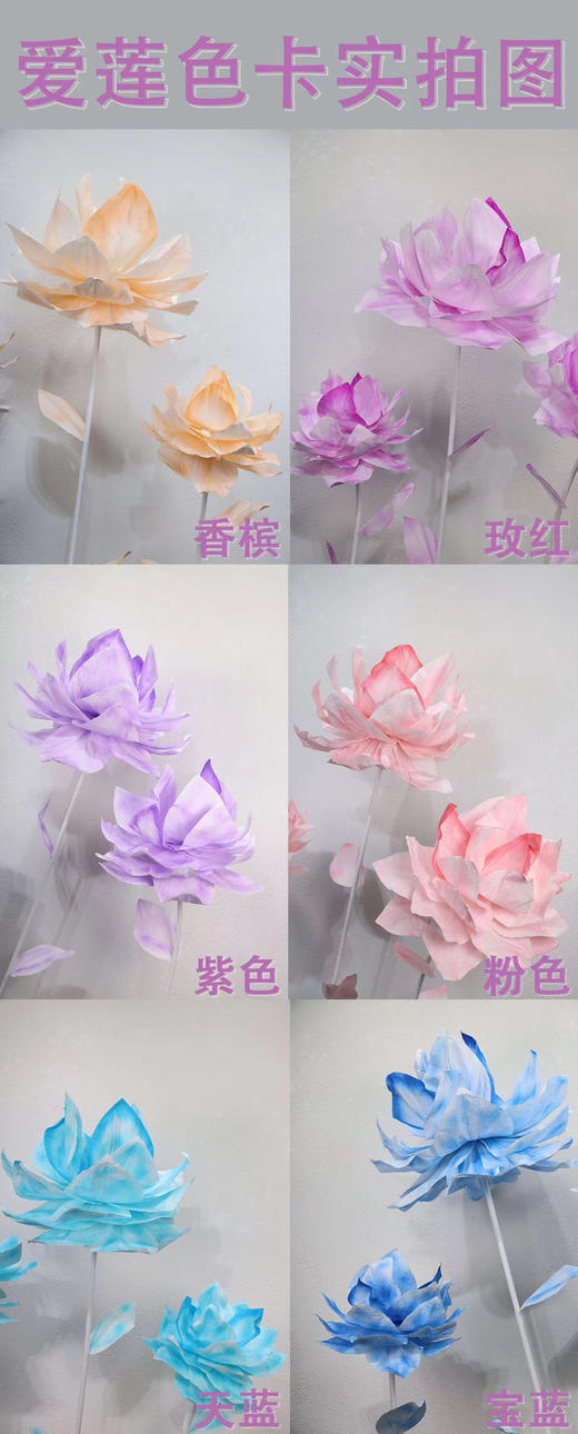 爱莲（运费自理） 商品图7