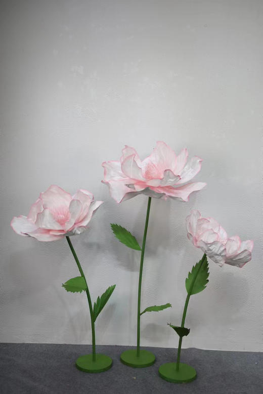 纹边花（运费自理） 商品图9