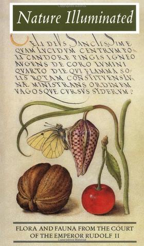 Nature Illuminated: Flora and Fauna from the Court of Emperor Rudolf II，自然启发：鲁道夫二世宫廷的动植物绘画，绘画