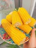 大董玉米2袋四穗（拼团） 商品缩略图3