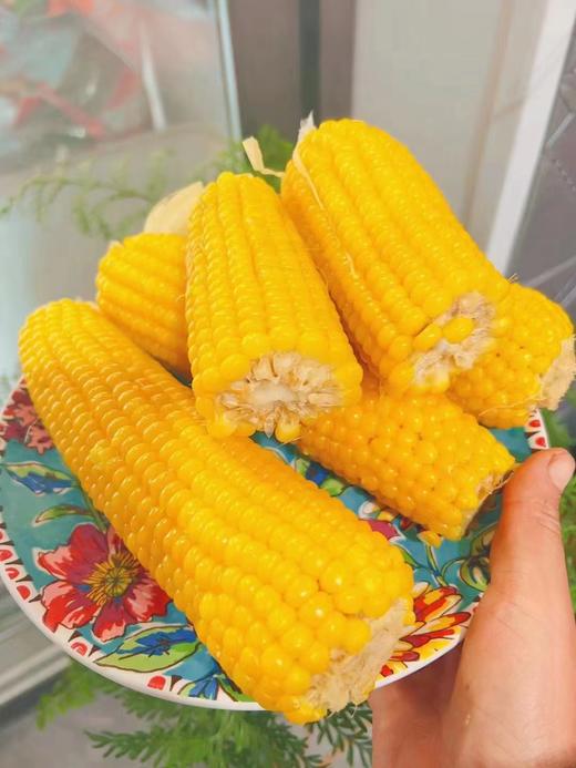大董玉米2袋四穗（拼团） 商品图3