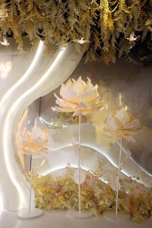 爱莲（运费自理） 商品图3