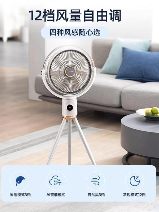 【店庆提前购】10楼 摩飞 无线电风扇MR3700  吊牌价799元  活动价469元 商品图4