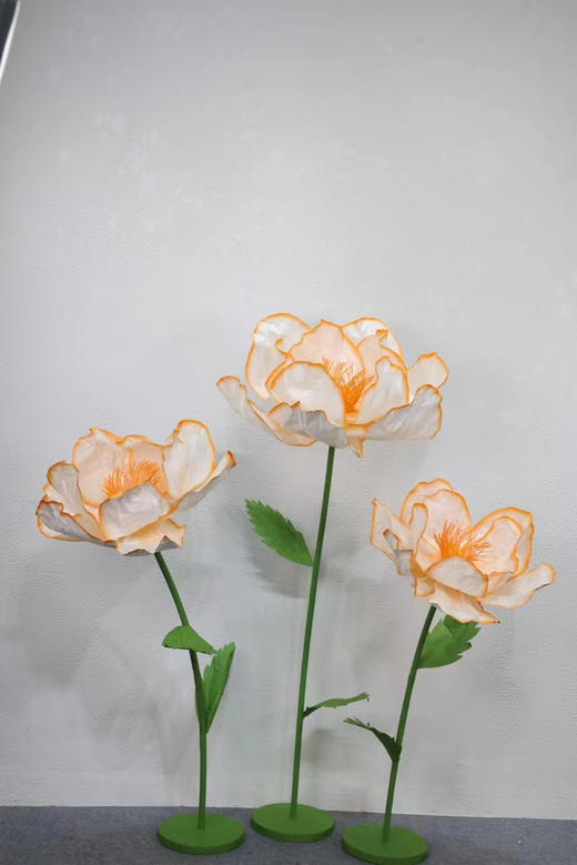 纹边花（运费自理） 商品图7