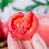 【宜昌助农馆】普罗旺斯西红柿  沙瓤多汁  彩箱4.5斤 商品缩略图2