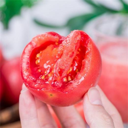 【宜昌助农馆】普罗旺斯西红柿  沙瓤多汁  彩箱4.5斤 商品图2