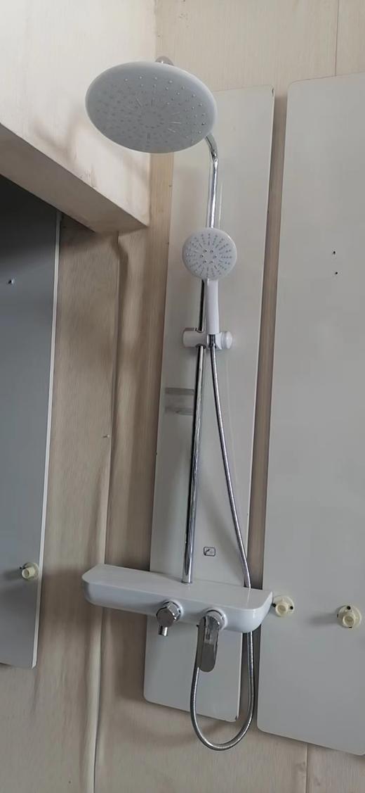 爱丽丝花洒 3797 商品图0