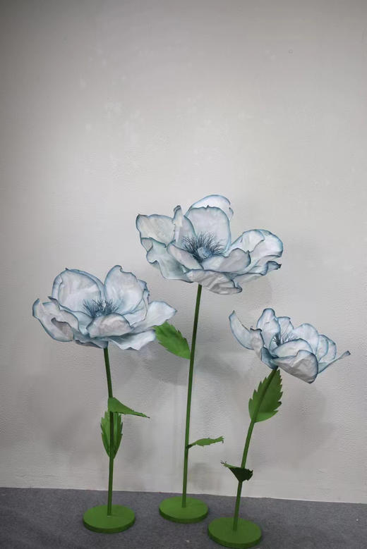 纹边花（运费自理） 商品图5