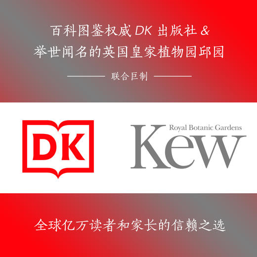 DK树木大百科+DK植物大百科 商品图2