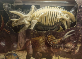 X260三角龙化石骨架