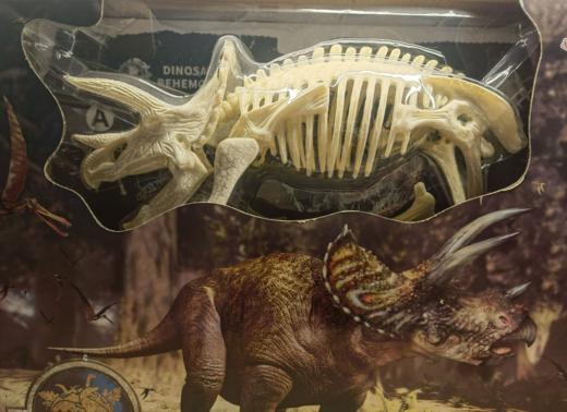 X260三角龙化石骨架 商品图0