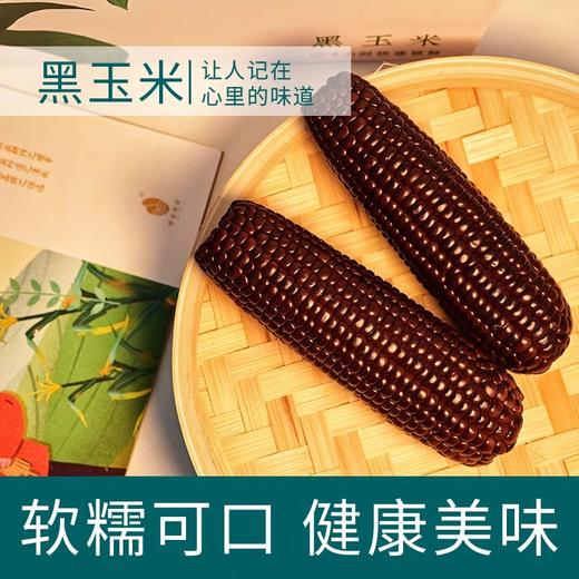 田里有草甜糯黑玉米单支装 商品图1