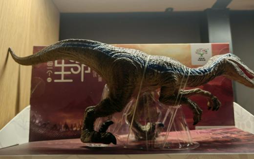 X148 迅猛龙 商品图0