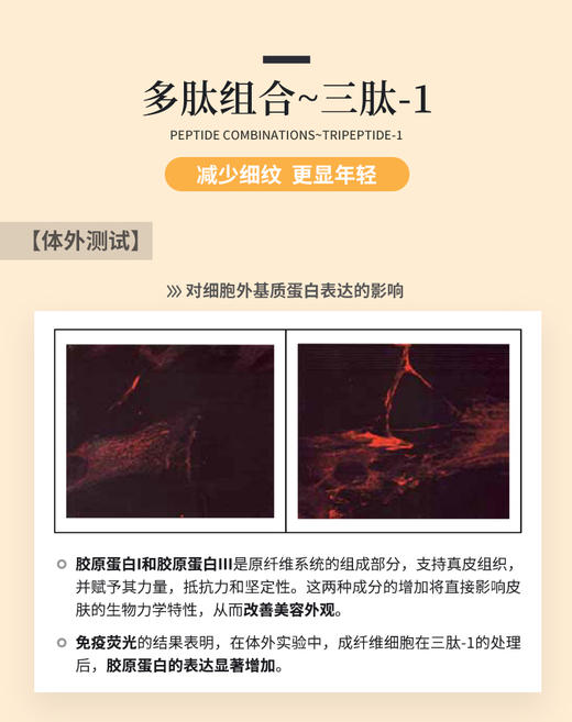 TOPC抚纹紧致莹润眼霜｜紧致眼周 氵炎黑眼圈 四因八肽护肤届明星成分，含7重透明质酸，益生元，祛痘膏同团队研发，篙活性成分 商品图6