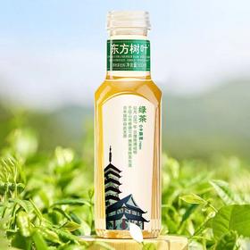 【百】东方树叶绿茶500ml