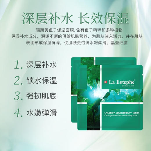 瑞斯美鱼子精粹水凝保湿面膜 28g*6片/盒 商品图5