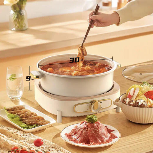 邻鹿多功能料理锅LR-500 商品图0