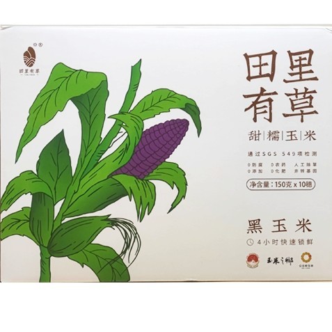 田里有草甜糯黑玉米单支装