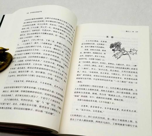 《中华草木虫鱼文化》，平装，童勉之著，海峡书局2023年一版一印，464页，定价78，售价39元。 商品图7
