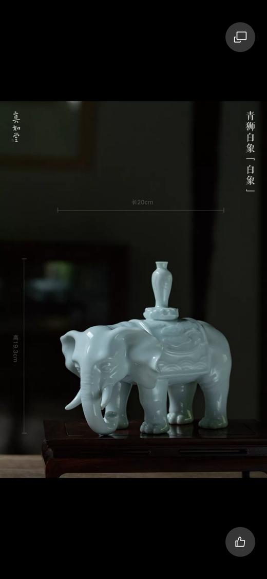 太平有象 商品图0