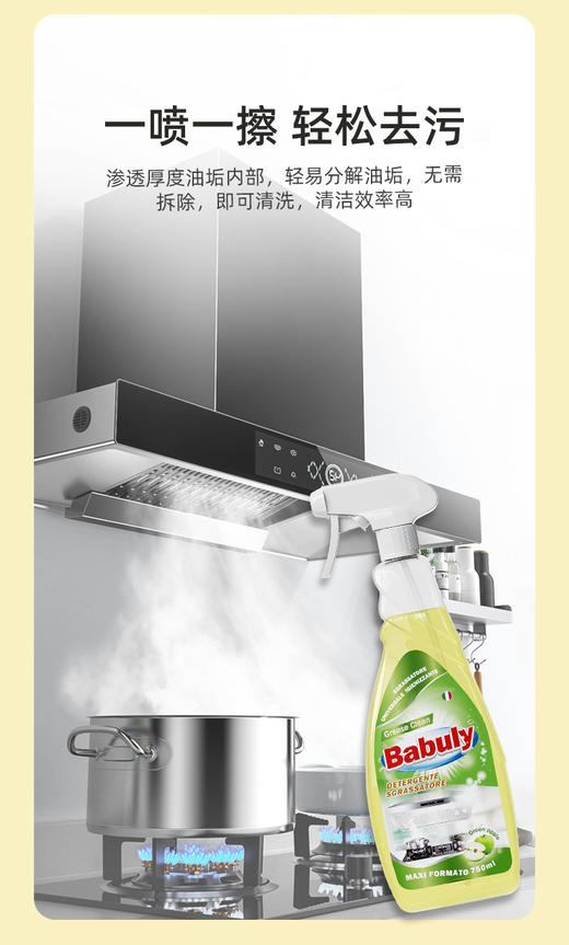 (中欧班列精选2瓶)意大利巴彼丽Babuly重油污清洁喷雾 原装进口抽油烟机清洗剂厨房去油污神器 750ml/瓶 商品图4