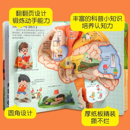 好奇孩子百问百答翻翻书系列-不可思议的身体 2-6岁孩子科普百科绘本 商品图3