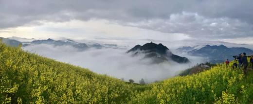 春摄赣皖：江西龙虎山、景德镇、庐山、婺源、安徽歙县、黟县8天摄影采风 商品图9