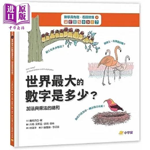 【中商原版】数学真有趣 看图就懂4 世界*大数字是多少 加法与乘法的总和 港台原版 费莉西亚 罗 小宇宙文化 商品图0