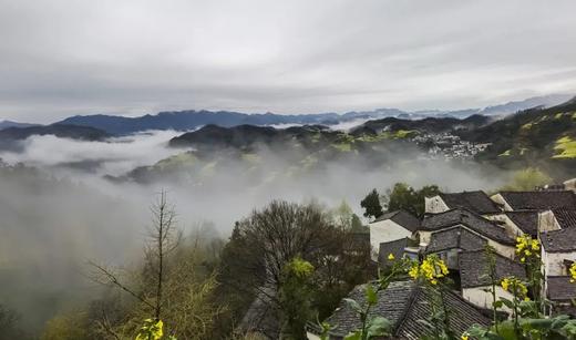 春摄赣皖：江西龙虎山、景德镇、庐山、婺源、安徽歙县、黟县8天摄影采风 商品图10