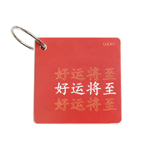 「拍1发3！9.9元包邮」前程似锦励志铁圈本 学生口袋便携记事本空白英语单词本活页小本子 商品图4