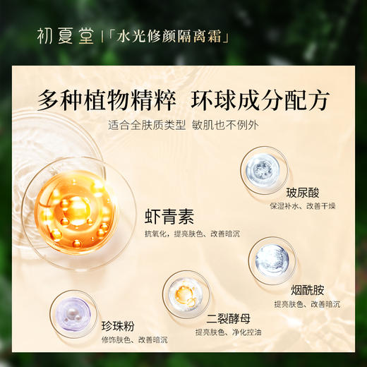 【小金管】初夏堂 光透修颜隔离霜 商品图5