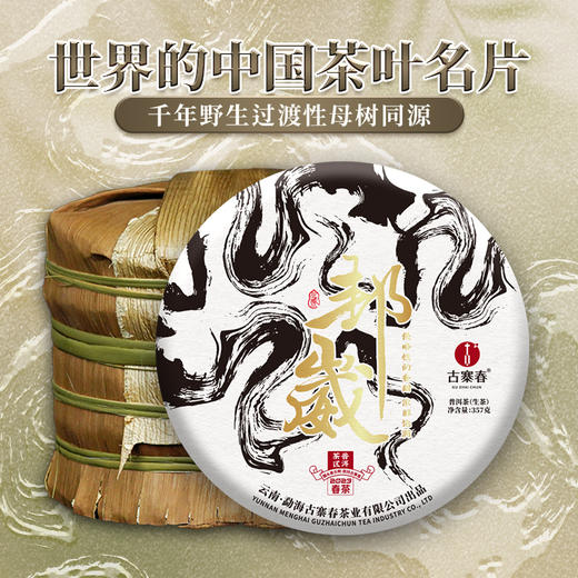 【春茶预售】【邦崴】店铺补贴钜惠 2023年春茶普洱茶区300年邦崴古茶357g饼茶  成提购 5饼/提 商品图0