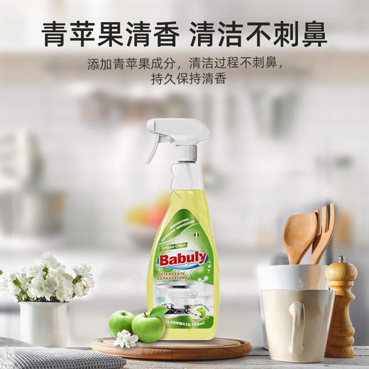 (中欧班列精选2瓶)意大利巴彼丽Babuly重油污清洁喷雾 原装进口抽油烟机清洗剂厨房去油污神器 750ml/瓶 商品图0