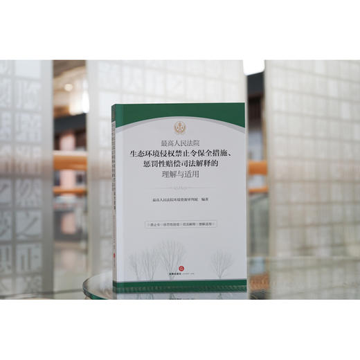 最高人民法院生态环境侵权禁止令保全措施、惩罚性赔偿司法解释的理解与适用  最高人民法院环境资源审判庭编著 商品图1