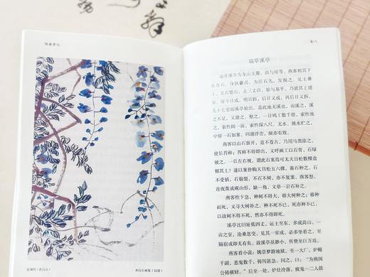 《中国古典生活风雅四书》风雅、有趣的生活百科之书 商品图10