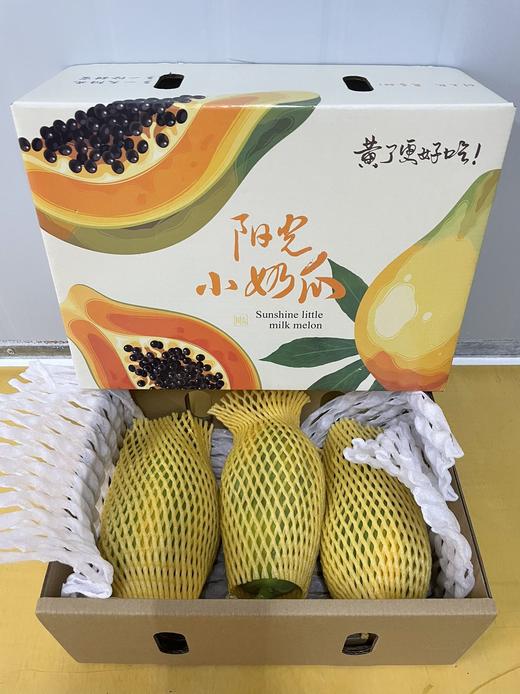 【三亚·预售】树上熟木瓜 海南三亚 5斤礼盒装（2-4颗） 商品图2