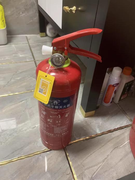 3.13业务员福利—车载灭火器（1KG） 商品图1