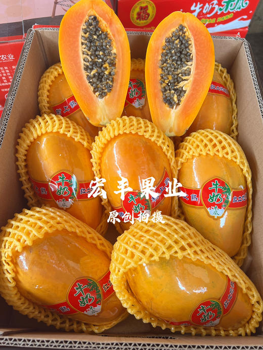 【宏丰精选】 牛奶木瓜  活动价9.9元一斤 商品图0