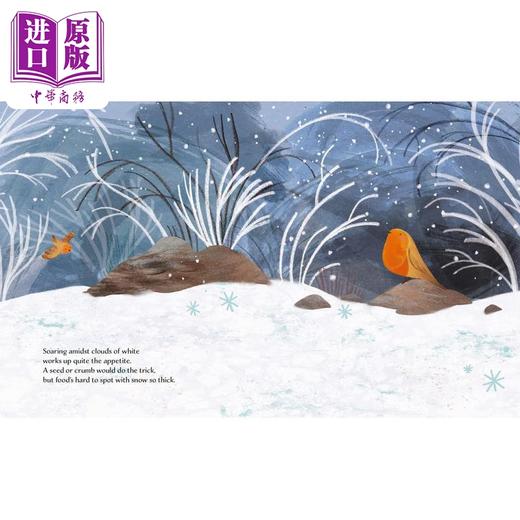【中商原版】Giulia Dragone Winter 冬之歌 英文原版 进口图书 儿童绘本 动物故事图画书 商品图1