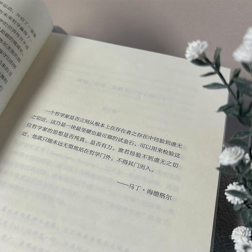 海德格尔的最后之神：基于现象学的未来神学思想（未来哲学丛书） 张静宜 著 商务印书馆 商品图3