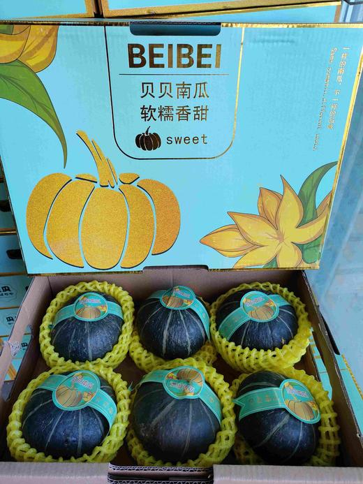 H贝贝南瓜一件6个装 商品图0