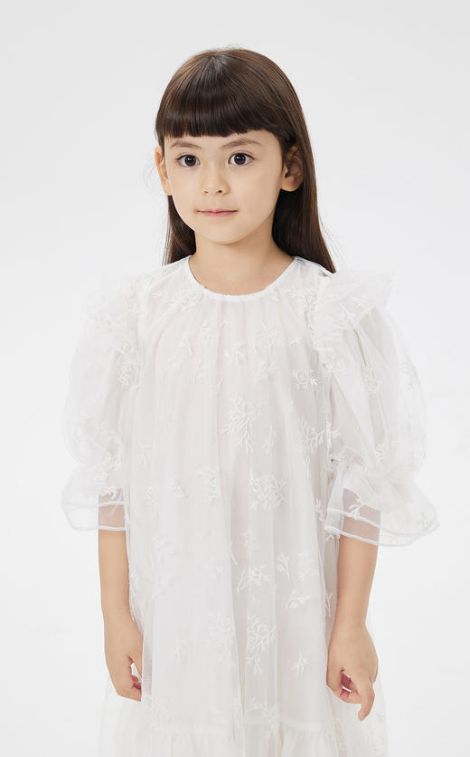 jnby  23年夏款  绣花设计A型细纱短袖连衣裙  1N4G12020 商品图4