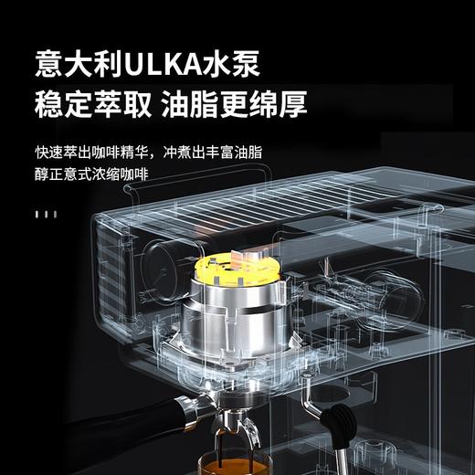 【柏翠迷你家用意式咖啡机】柏翠（petrus） 意式咖啡机15Bar家用商用浓缩小型专业半自动蒸汽一体奶泡机PE3690 绿色 商品图2