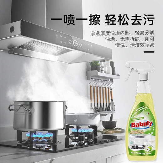 (中欧班列精选2瓶)意大利巴彼丽Babuly重油污清洁喷雾 原装进口抽油烟机清洗剂厨房去油污神器 750ml/瓶 商品图2