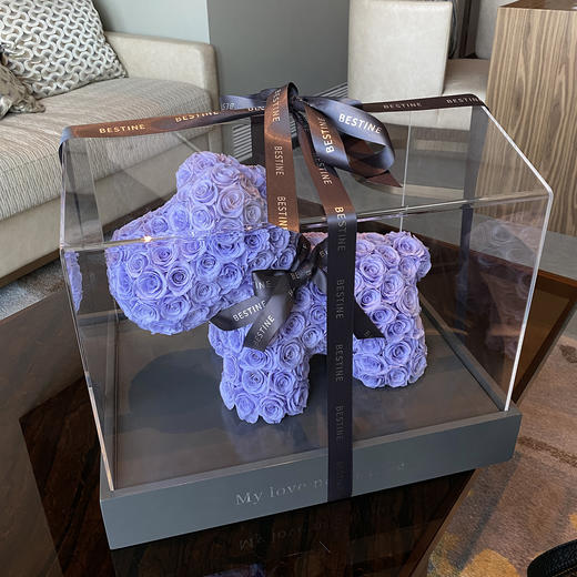 VBEINGS花语 玫瑰狗狗款 商品图5