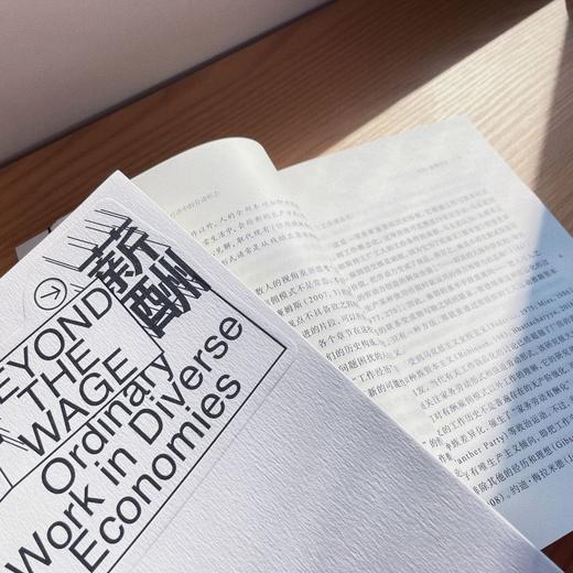 薪酬之上：多元经济中的劳动形态 商品图6