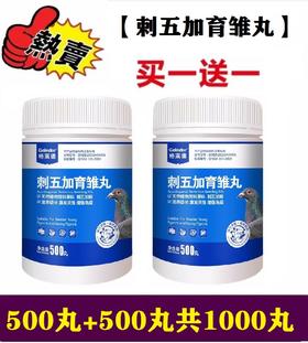 格莱德【刺五加育雏丸】500丸+500丸，买一送一，强壮骨骼促生长发育鸽子保健品大全