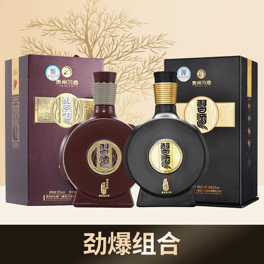 【推荐】习酒 窖藏1998+窖藏1988 酱香型白酒 53度 500ml*2瓶 商品图0