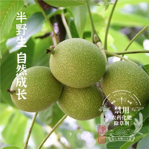 云南高山核桃500g*2【产地直发】@谦益 商品图1