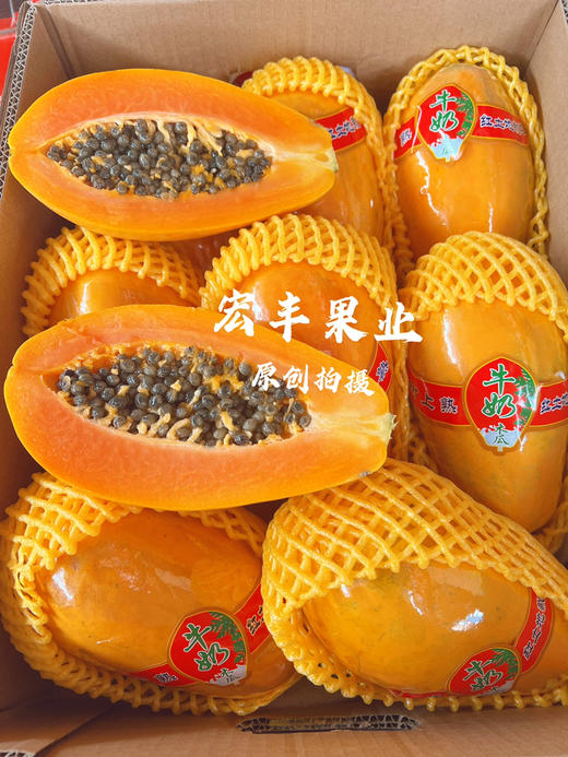 【宏丰精选】 牛奶木瓜  活动价9.9元一斤 商品图9